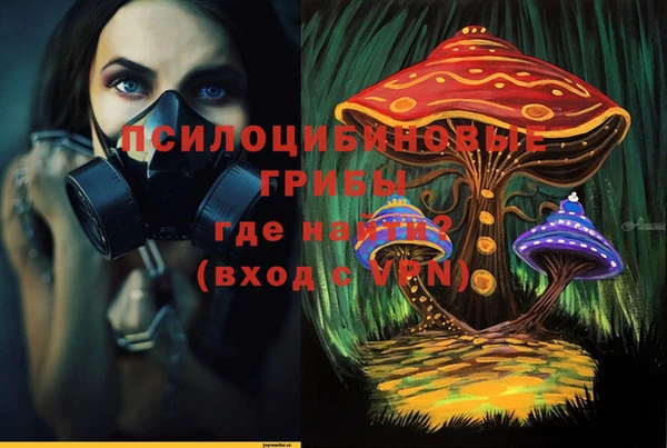 амф Бугульма