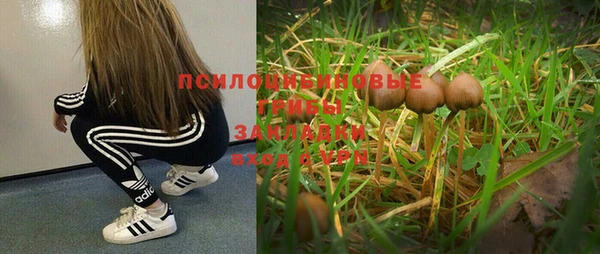сатива Бронницы