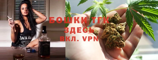 сатива Бронницы